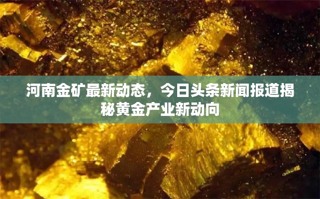 河南金矿最新动态，今日头条新闻报道揭秘黄金产业新动向