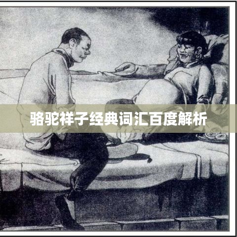 骆驼祥子经典词汇百度解析