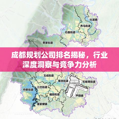 成都规划公司排名揭秘，行业深度洞察与竞争力分析