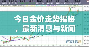 今日金价走势揭秘，最新消息与新闻报道汇总