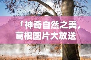 「神奇自然之美，葛根图片大放送，带你领略自然魅力」