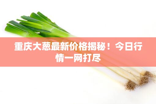 重庆大葱最新价格揭秘！今日行情一网打尽