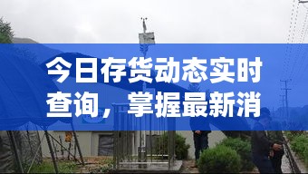 今日存货动态实时查询，掌握最新消息，助力企业精准决策