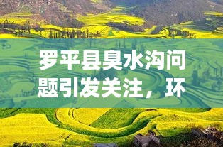 罗平县臭水沟问题引发关注，环保挑战下的新闻焦点