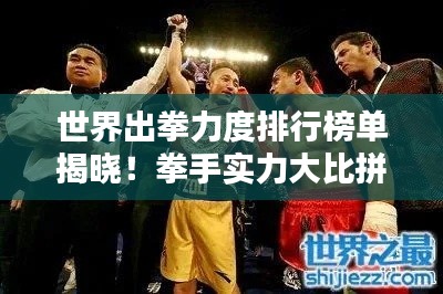 世界出拳力度排行榜单揭晓！拳手实力大比拼