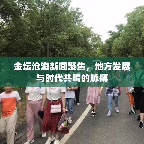 金坛沧海新闻聚焦，地方发展与时代共鸣的脉搏