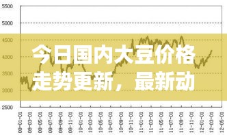 今日国内大豆价格走势更新，最新动态与市场趋势分析