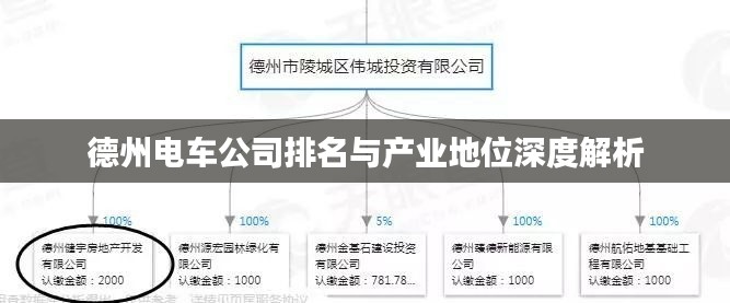 德州电车公司排名与产业地位深度解析