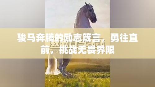 骏马奔腾的励志箴言，勇往直前，挑战无畏界限