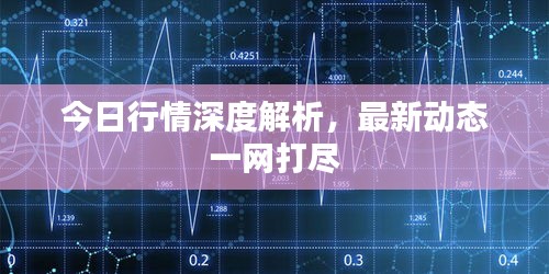 今日行情深度解析，最新动态一网打尽