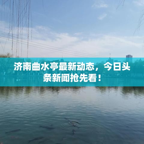 济南曲水亭最新动态，今日头条新闻抢先看！