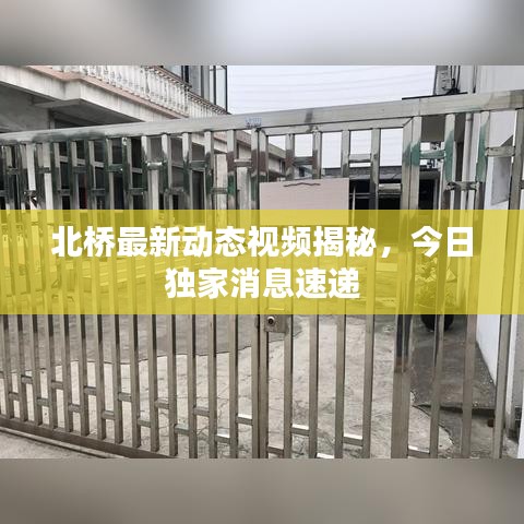 北桥最新动态视频揭秘，今日独家消息速递