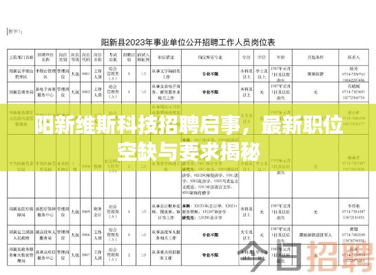 阳新维斯科技招聘启事，最新职位空缺与要求揭秘