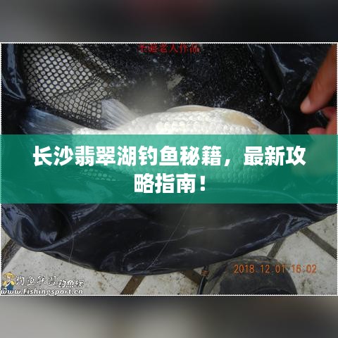 长沙翡翠湖钓鱼秘籍，最新攻略指南！