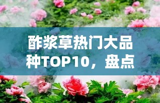 酢浆草热门大品种TOP10，盘点排名前十的酢浆草品种