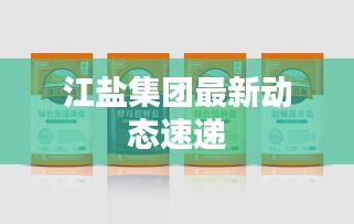 江盐集团最新动态速递