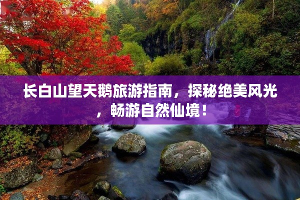 长白山望天鹅旅游指南，探秘绝美风光，畅游自然仙境！