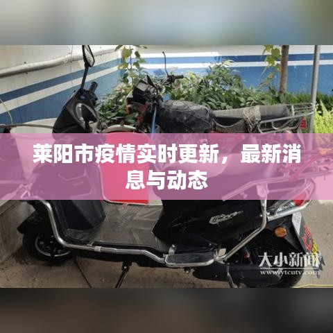 莱阳市疫情实时更新，最新消息与动态