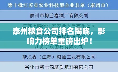 泰州粮食公司排名揭晓，影响力榜单重磅出炉！