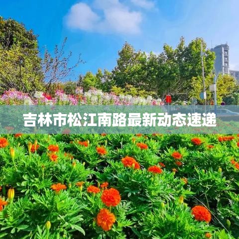 吉林市松江南路最新动态速递