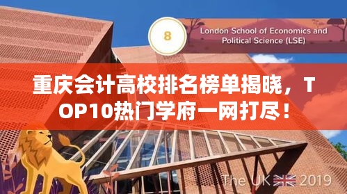 重庆会计高校排名榜单揭晓，TOP10热门学府一网打尽！