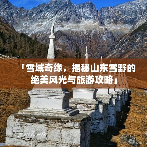 「雪域奇缘，揭秘山东雪野的绝美风光与旅游攻略」