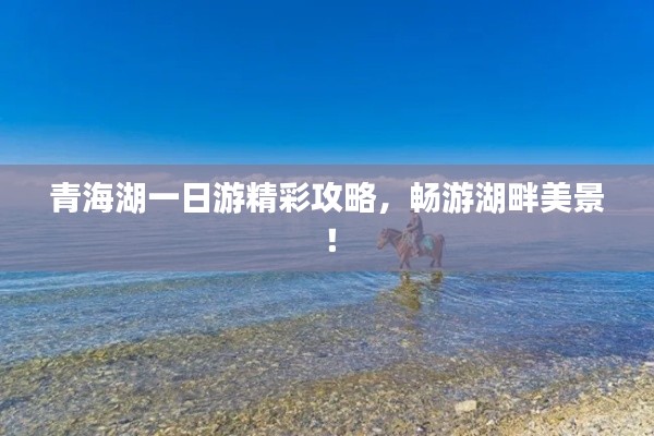 青海湖一日游精彩攻略，畅游湖畔美景！