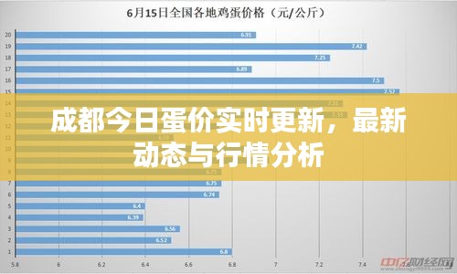 成都今日蛋价实时更新，最新动态与行情分析