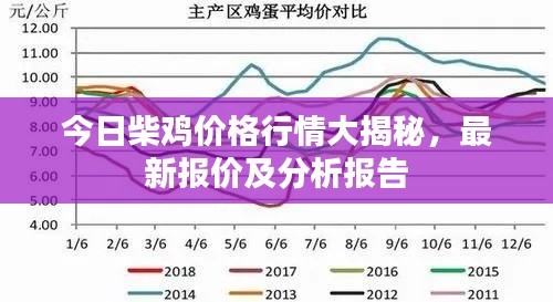 今日柴鸡价格行情大揭秘，最新报价及分析报告