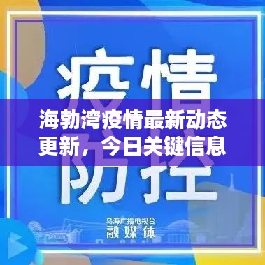 海勃湾疫情最新动态更新，今日关键信息一网打尽！