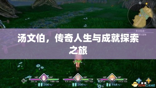 汤文伯，传奇人生与成就探索之旅