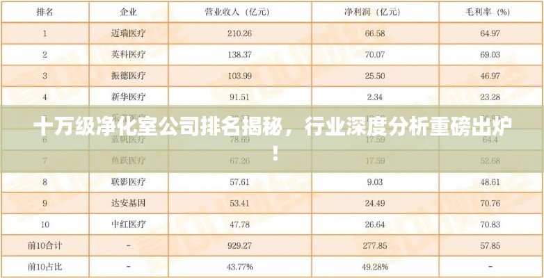 十万级净化室公司排名揭秘，行业深度分析重磅出炉！