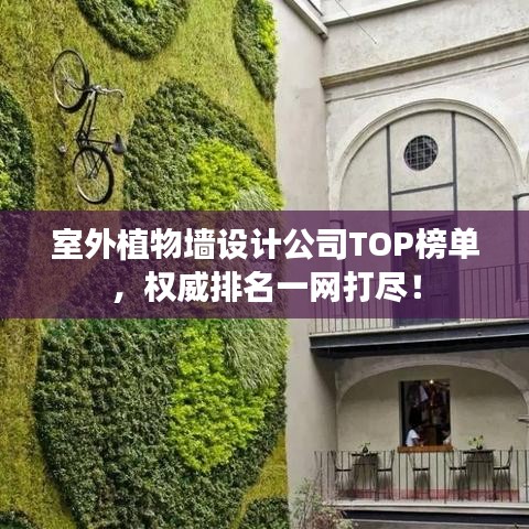 室外植物墙设计公司TOP榜单，权威排名一网打尽！