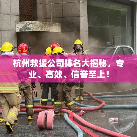 杭州救援公司排名大揭秘，专业、高效、信誉至上！