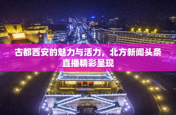 古都西安的魅力与活力，北方新闻头条直播精彩呈现