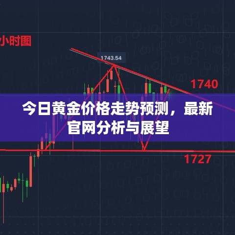 今日黄金价格走势预测，最新官网分析与展望