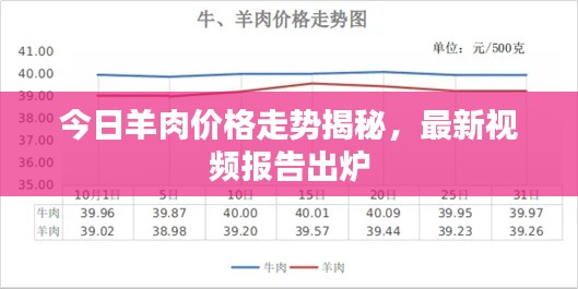 今日羊肉价格走势揭秘，最新视频报告出炉