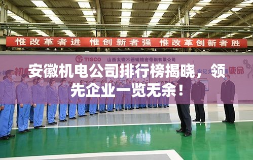 安徽机电公司排行榜揭晓，领先企业一览无余！