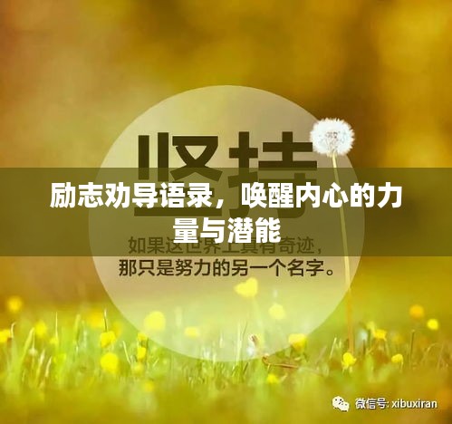 励志劝导语录，唤醒内心的力量与潜能