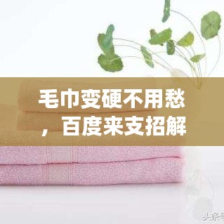 毛巾变硬不用愁，百度来支招解决方法！