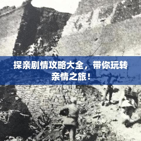 探亲剧情攻略大全，带你玩转亲情之旅！