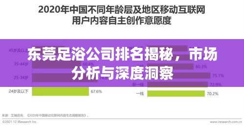 东莞足浴公司排名揭秘，市场分析与深度洞察
