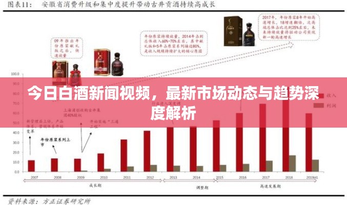 今日白酒新闻视频，最新市场动态与趋势深度解析