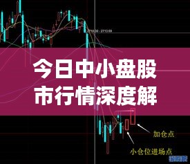 今日中小盘股市行情深度解析