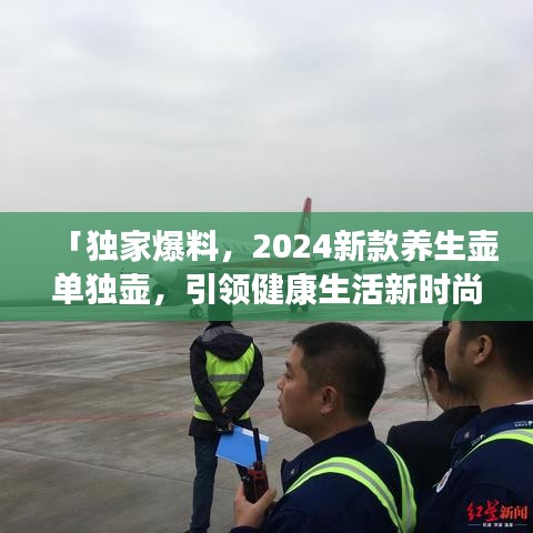 「独家爆料，2024新款养生壶单独壶，引领健康生活新时尚」