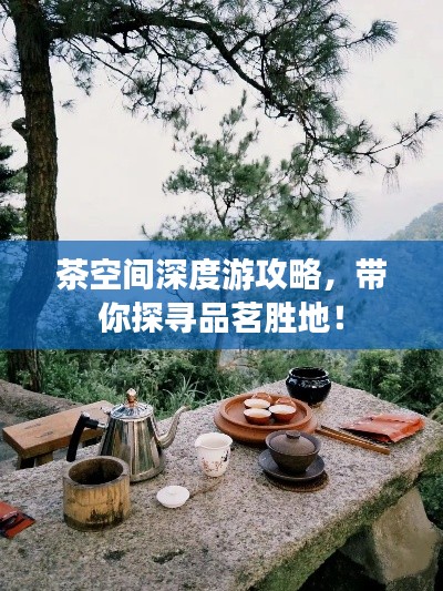 茶空间深度游攻略，带你探寻品茗胜地！