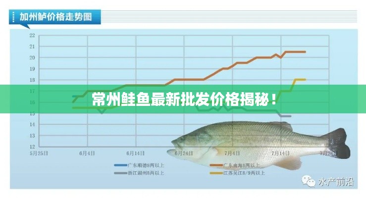 常州鲑鱼最新批发价格揭秘！