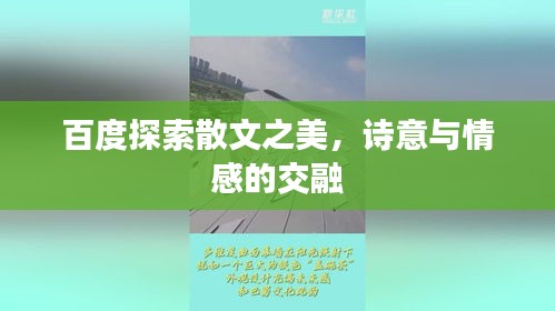 百度探索散文之美，诗意与情感的交融