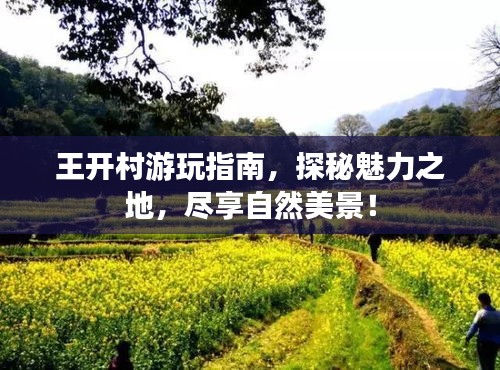 2025年5月8日 第4页