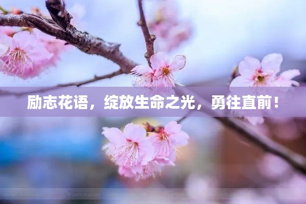 励志花语，绽放生命之光，勇往直前！